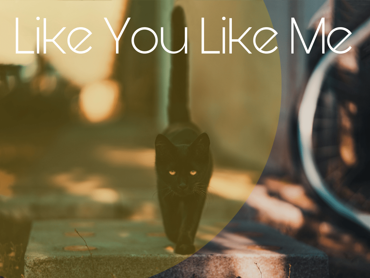 Like You Like&nbsp;Me
